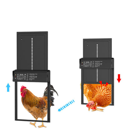 🔥🔥Neu erhältlich 50% RABATT🎁Solarbetriebene automatische Hühnerstalltür