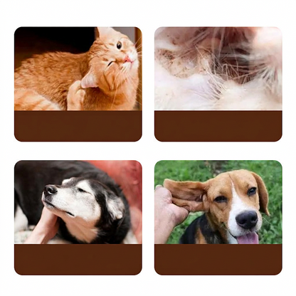 📢📢 1+1 GRATIS!! 🐱🐶Ohrenreiniger mit Teebaumöl für Katzen und Hunde | Sanft • Effektiv • Lindert Juckreiz